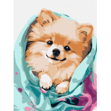 Картина за номерами - Щасливий шпіц ©art_selena_ua
