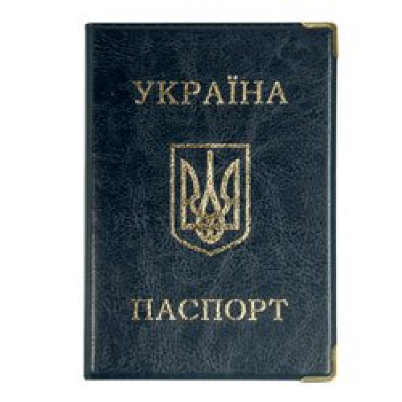 01-0993-9 Обкладинка для паспорта (вініл)