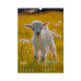 Календар настінний 2027 р., А3, 1 пружина, Cute goat