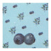 Блок пластиковий для нотаток з клейким шаром BLUEBERRY ARABESKI, 75x75мм, 50 арк., прозорий, блис