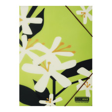 Папка А4 на гумках, PLUMERIA ARABESKI, напівпрозора, салатова