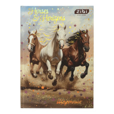 Щоденник шкільний NIGHT HORSE, В5, 40арк, тверд. обкл., мат. ламінація + виб.УФ-лак і тисн.фольгой