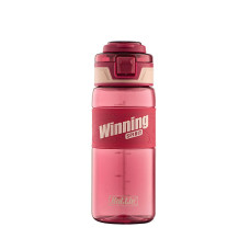 Пляшка для води WINNING, 600мл, бордова