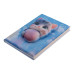 Блокнот 3D KITTY, 145 х 210 мм, 80 арк., клітинка, Soft PU обкладинка, асорті, KIDS Line