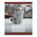 Зошит учнівський шкільний CATS, 12 арк., клітинка, KIDS LINE