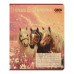 Зошит учнівський шкільний HORSES, 24арк., клітинка, KIDS LINE