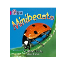 Big Cat  1A Minibeasts.