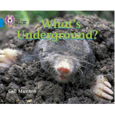 Big Cat  4 What's Underground?