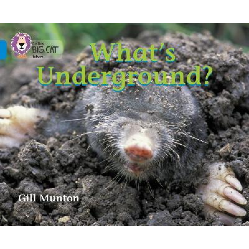 Big Cat  4 What's Underground?