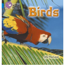 Big Cat Phonics 4 Birds.