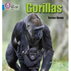Big Cat Phonics 4 Gorillas.