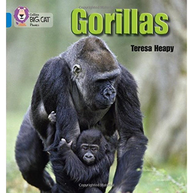Big Cat Phonics 4 Gorillas.