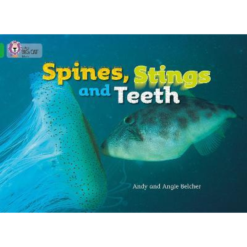 Big Cat  5 Spines, Stings and Teeth. Workbook.