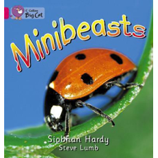 Big Cat  1A Minibeasts. Workbook.