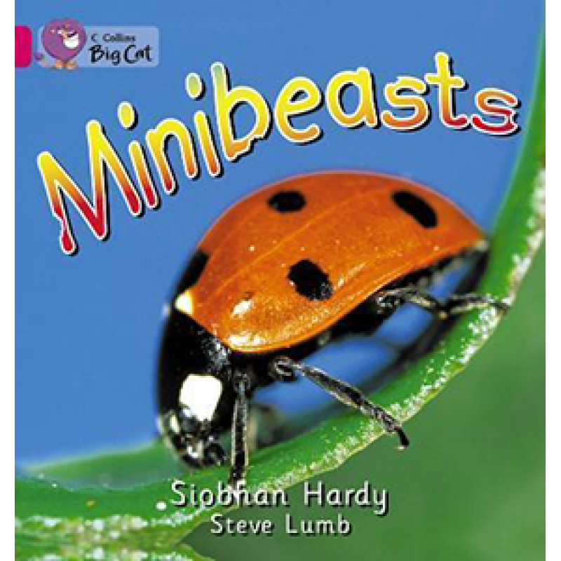 Big Cat  1A Minibeasts. Workbook.
