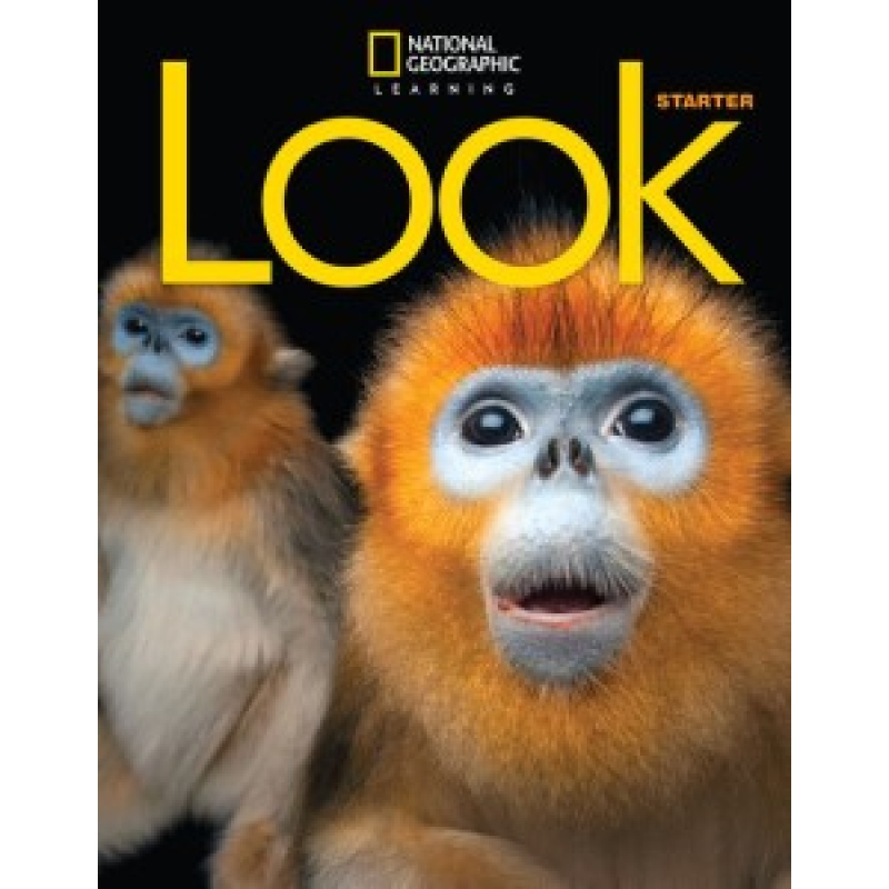 Look  Starter SB with the Spark platform (email) British English