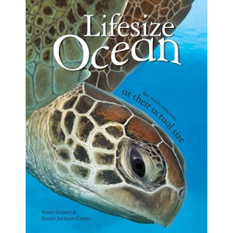 Lifesize Ocean