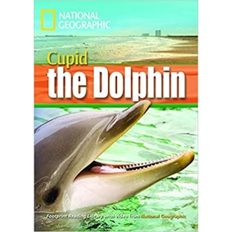FRL1600 B1 Cupid the Dolphin