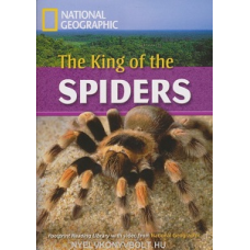 FRL2600 C1 The King of Spiders