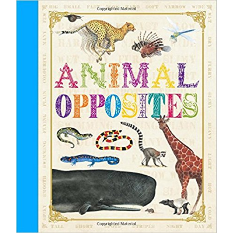 First Concept: Animal Opposites
